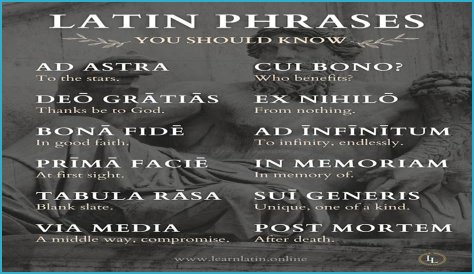 A Profile Of A Latin Beauty